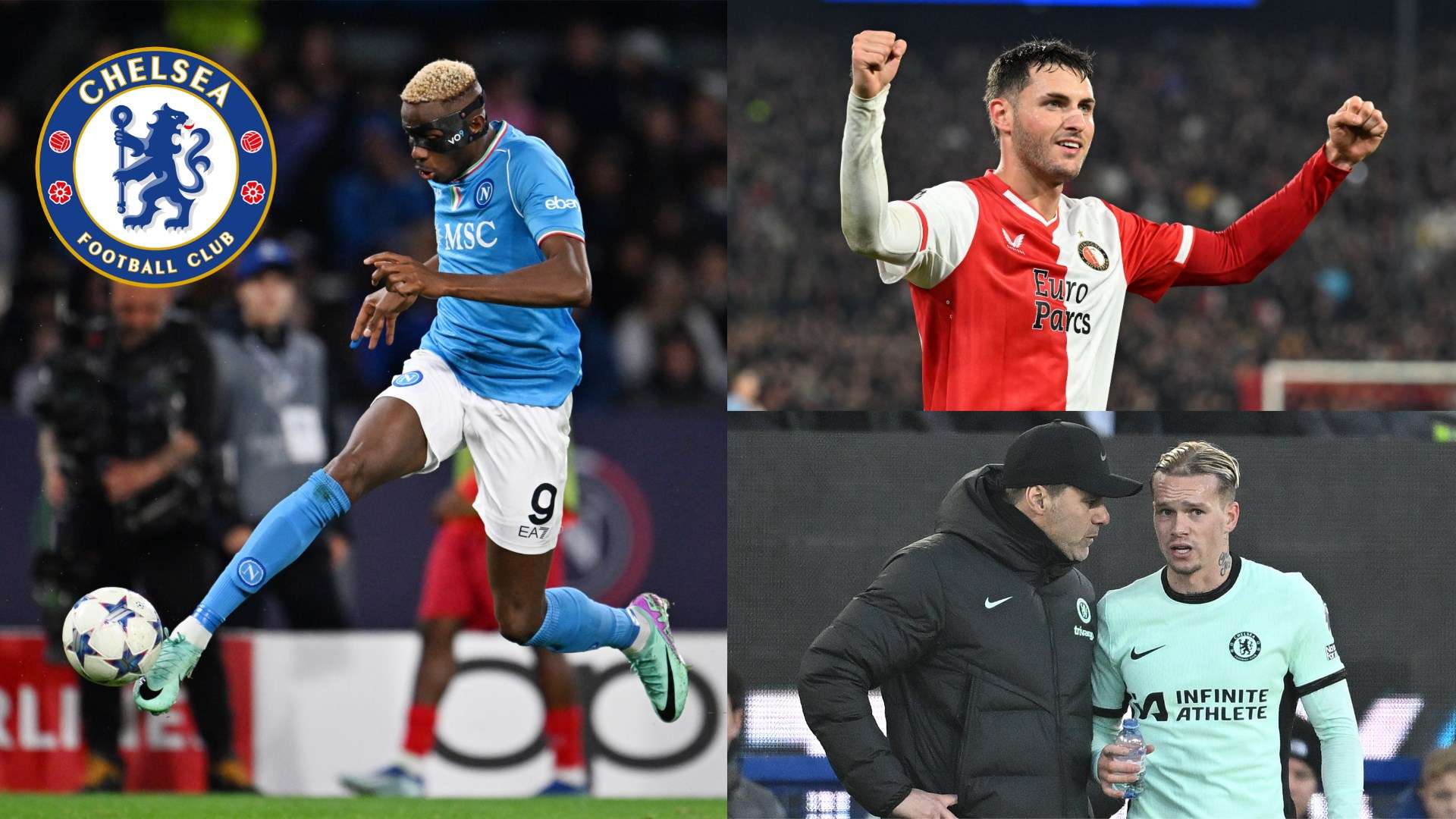 尽管球员的 尽管球员的