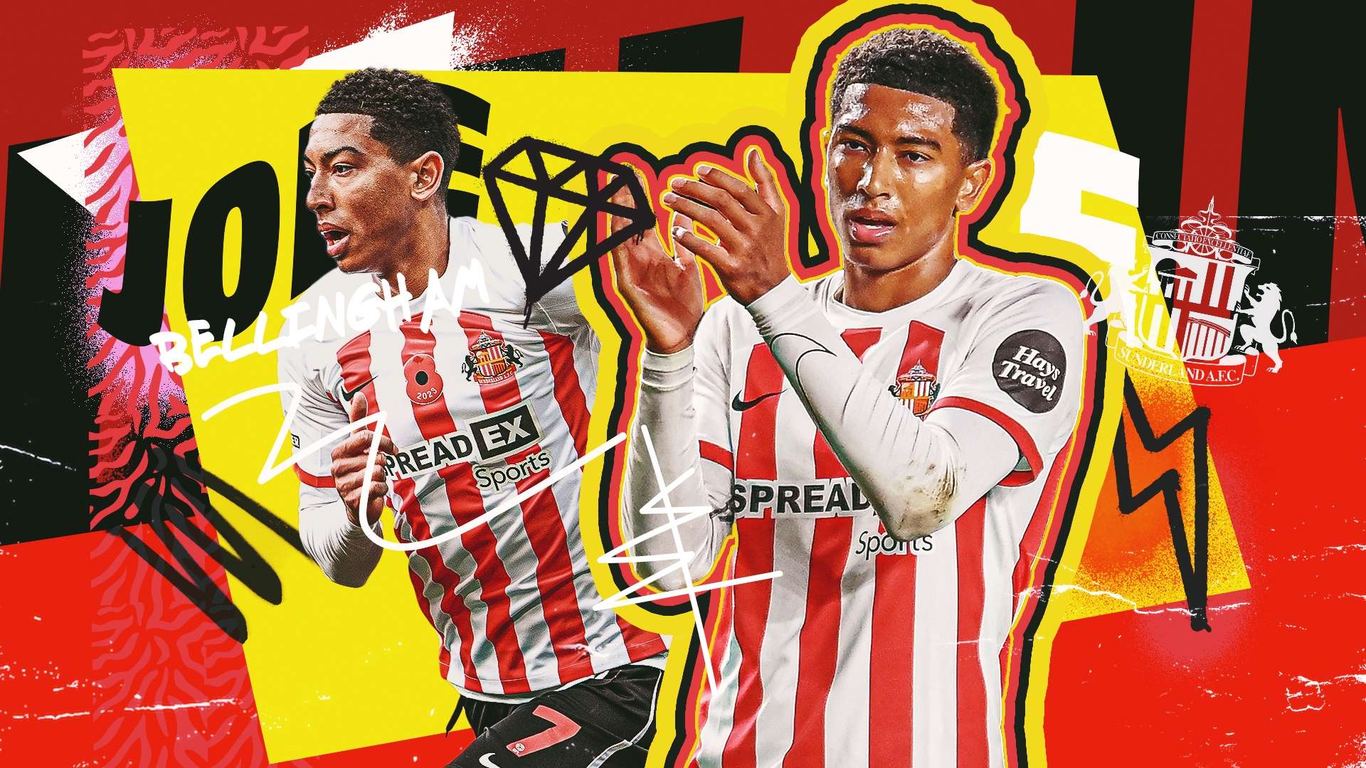 屬的球隊面 屬的球隊面