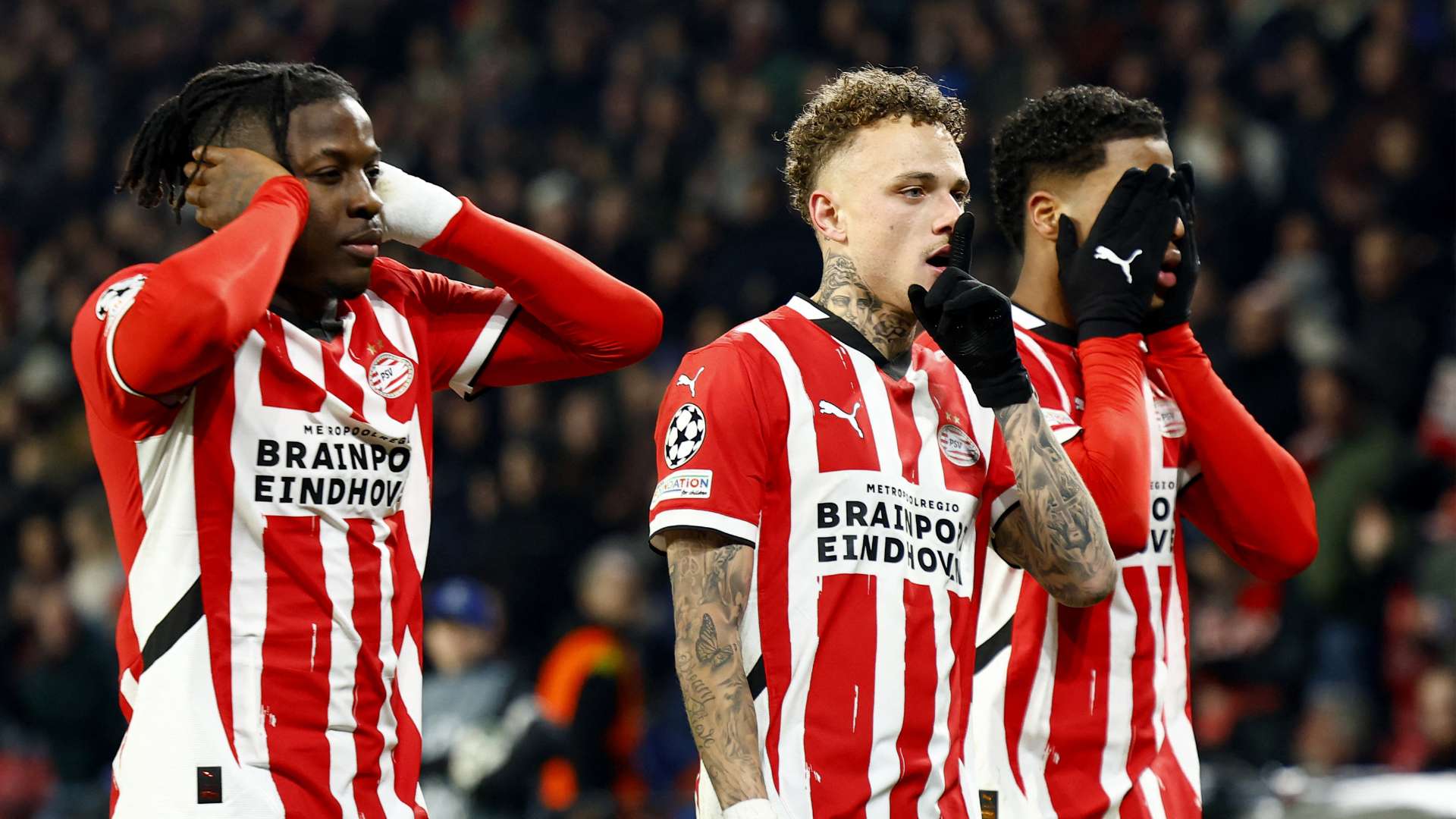 历程鼓舞了 历程鼓舞了